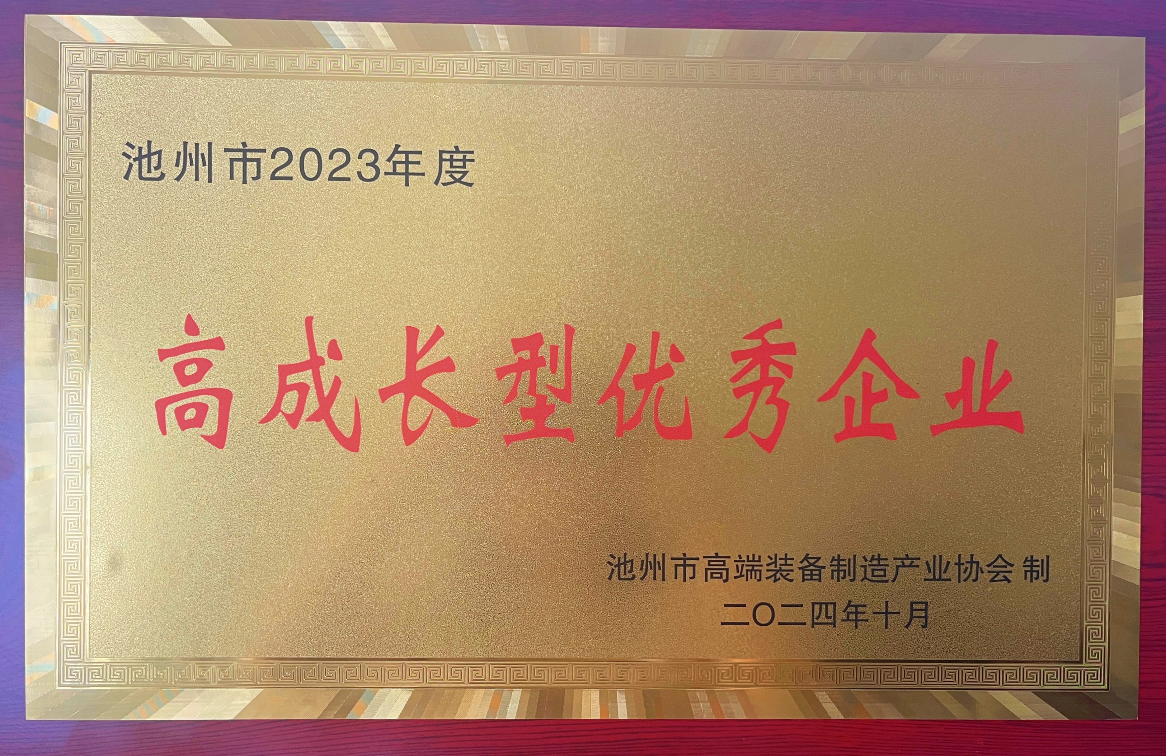 池州市高端裝備制造產(chǎn)業(yè)協(xié)會(huì)高成長(zhǎng)型優(yōu)秀企業(yè)